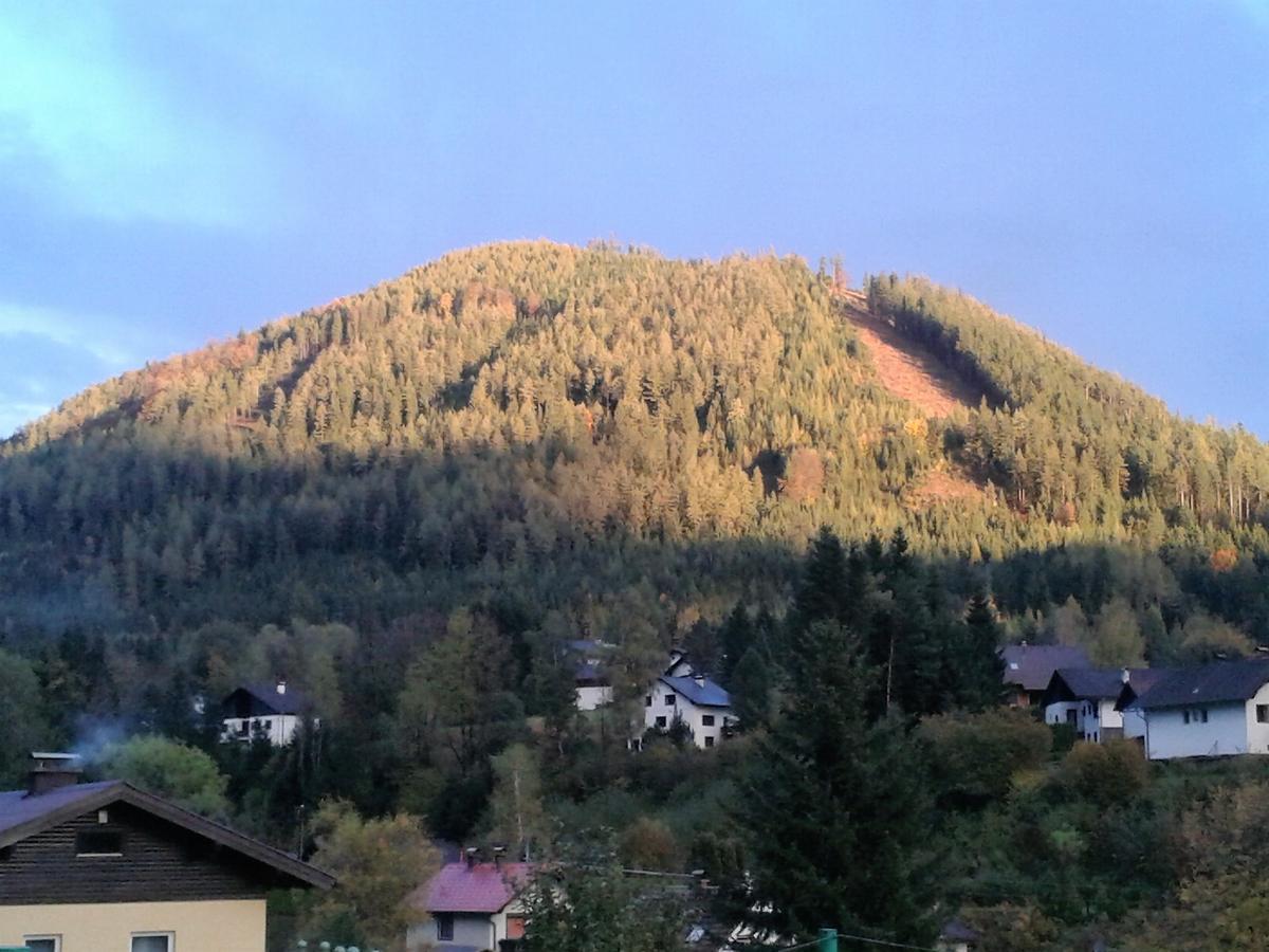 Hotel Frühstückspension Gasthof Gesslbauer Steinhaus am Semmering Exterior foto